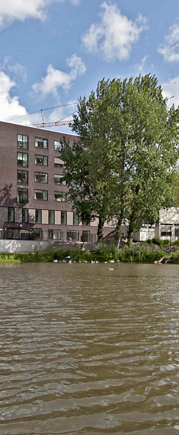 denieuweblide 20120516 01.jpg