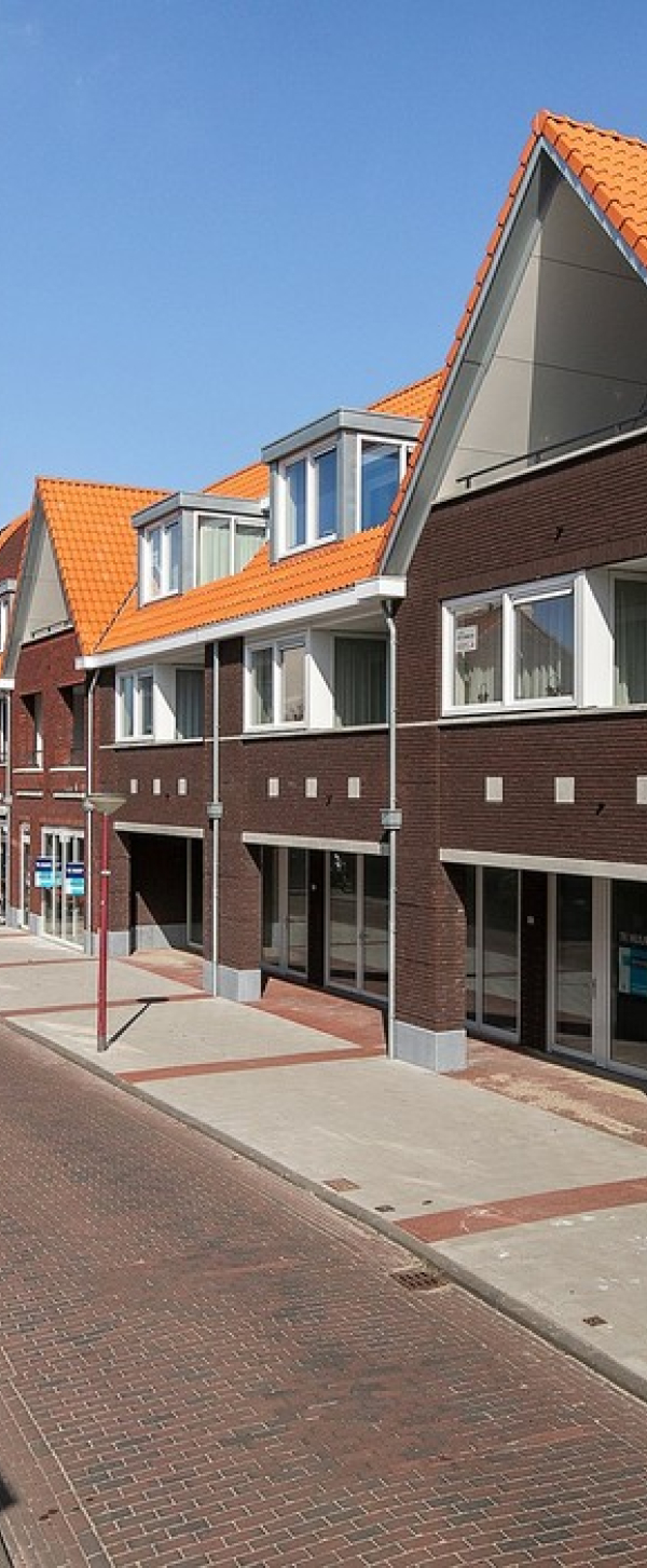 zl4.jpg