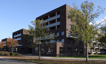 De drie swaenen Terneuzen 10.JPG