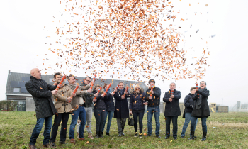 confetti 3.jpg