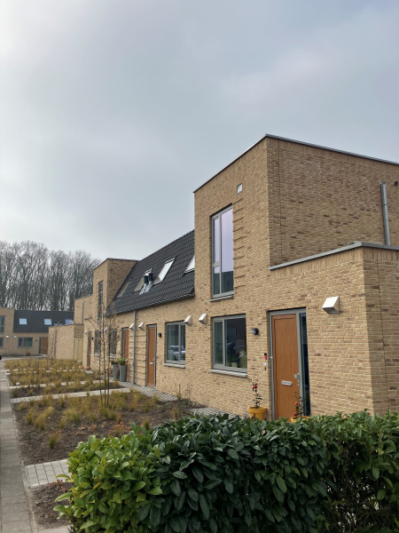 woonstichting hulst.jpg