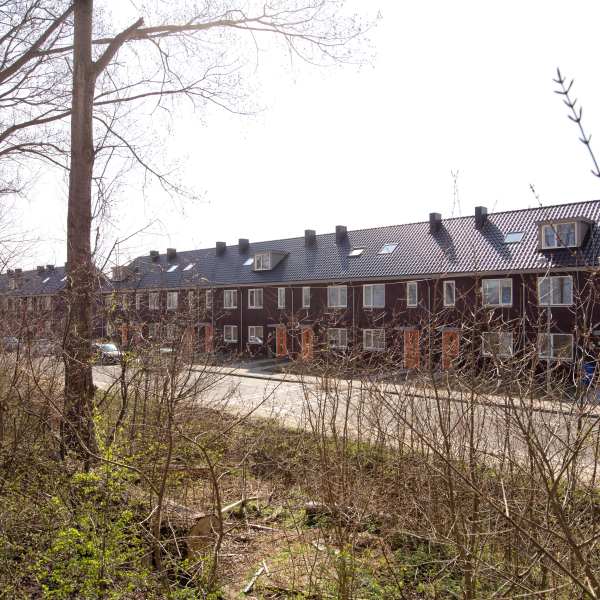 Schelpenlaan 20160401 09.jpg